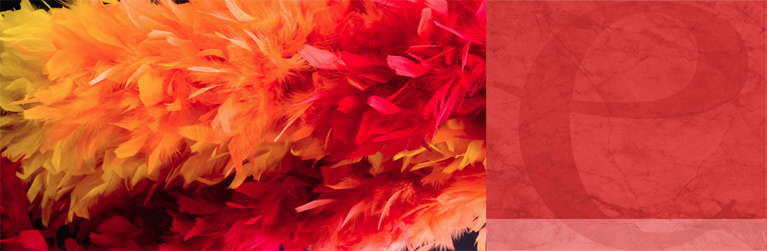 Plumes-Spectacle